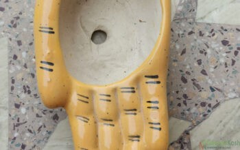 Hand Shape ceramic pot