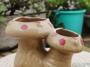 Mashroom ceramic pot