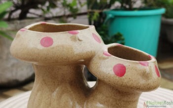 Mashroom ceramic pot