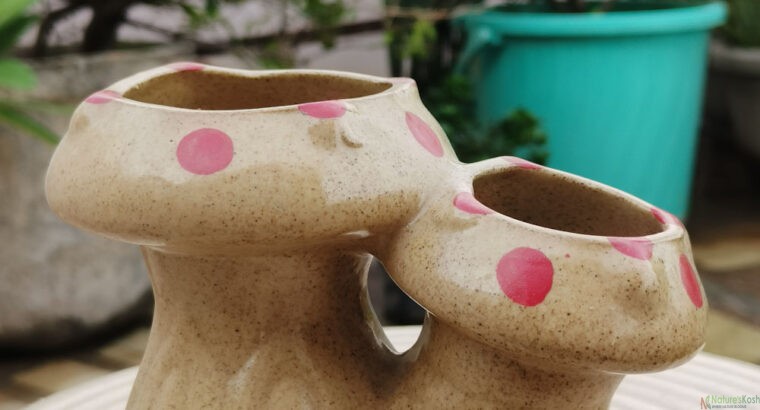 Mashroom ceramic pot