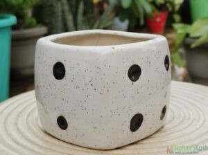 Dice ceramic pot