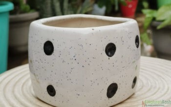 Dice ceramic pot