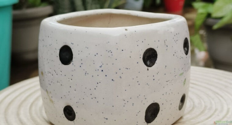 Dice ceramic pot