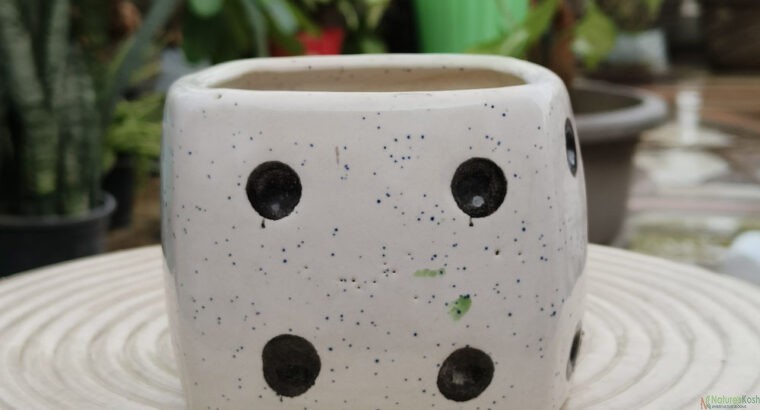 Dice ceramic pot