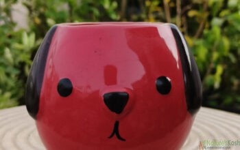 puppy face ceramic pot (Red, yellow, white)