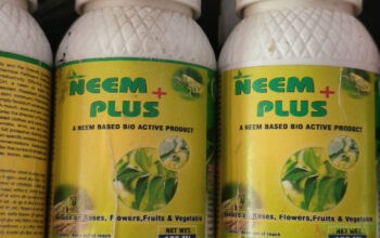 Neem Organic Plant Pesticide