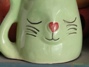 Cat Ceramic Pot