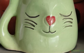 Cat Ceramic Pot