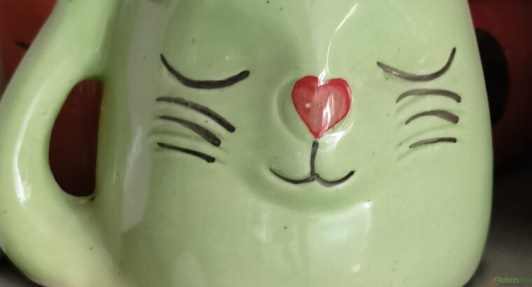 Cat Ceramic Pot