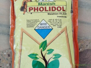 Pholodol Insecticide (whilte powder) – 500gm.