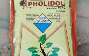 Pholodol Insecticide (whilte powder) – 500gm.