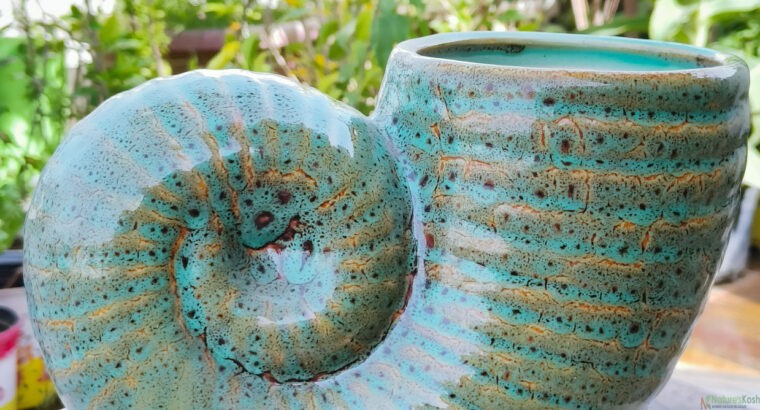 Snail Ceramic planter