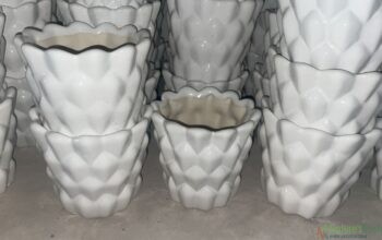 multi shaped ceramic planters(white)