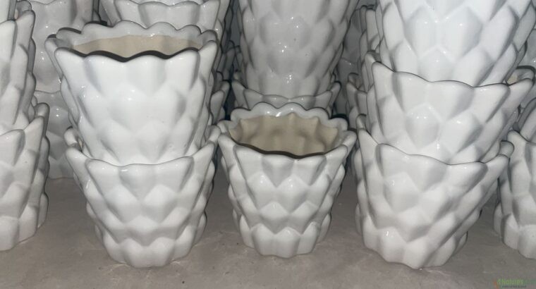 multi shaped ceramic planters(white)