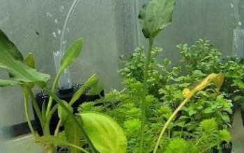 AquaSolution – The Aquarium & Terrarium Store