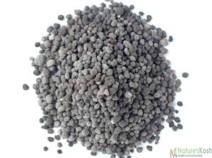 Organic DAP Fertilizer 0.5 kg