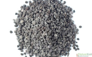 Organic DAP Fertilizer 0.5 kg